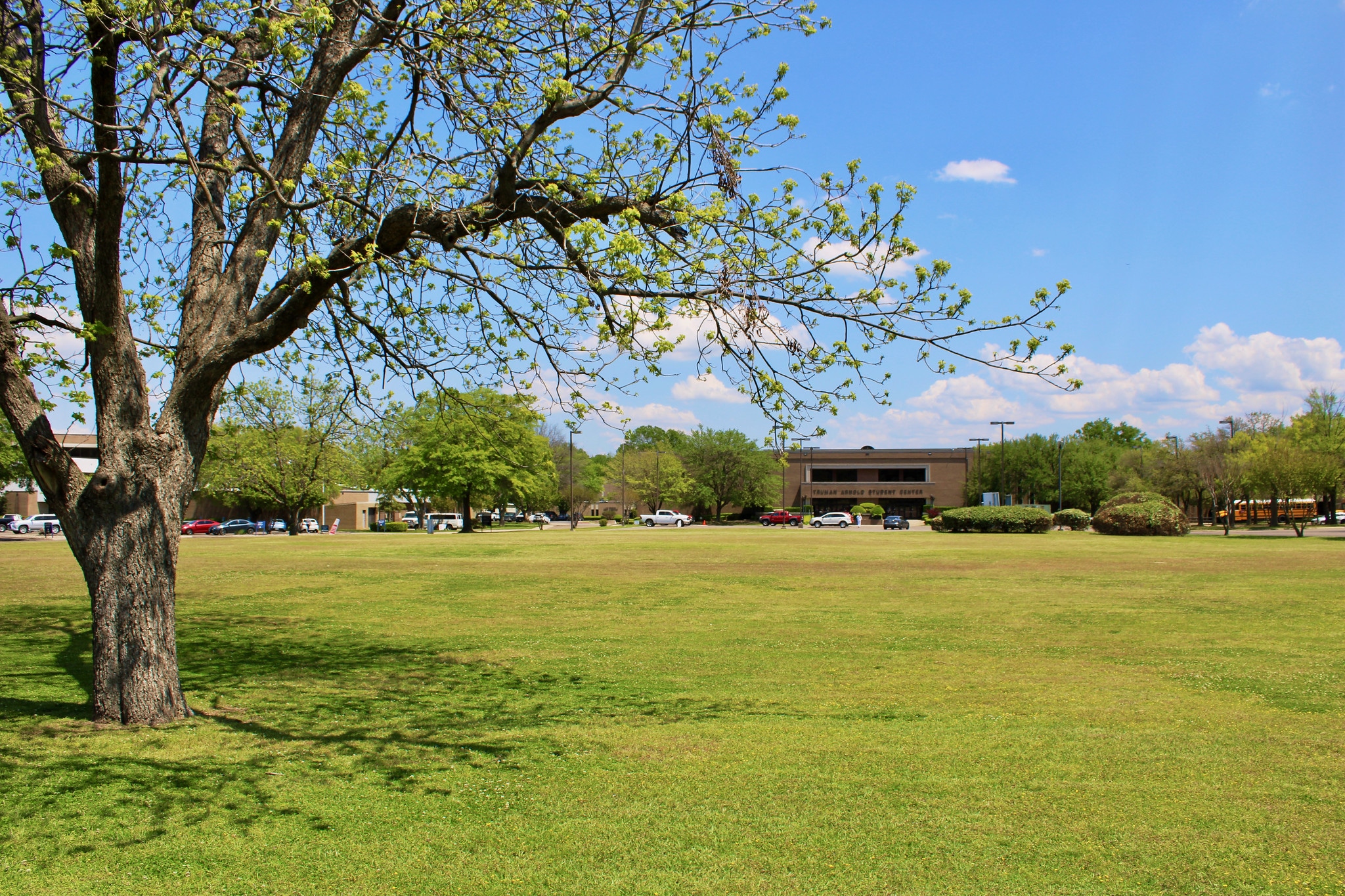 Texarkana College Announces Aviation Mechanics Training Program in Partnership with Texarkana Regional Airport